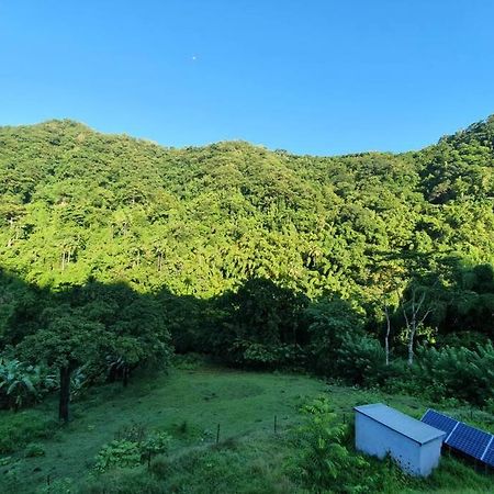 Spacieux Appartement A La Villa Montagne Le Carbet Bagian luar foto