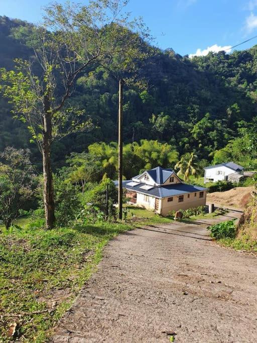 Spacieux Appartement A La Villa Montagne Le Carbet Bagian luar foto