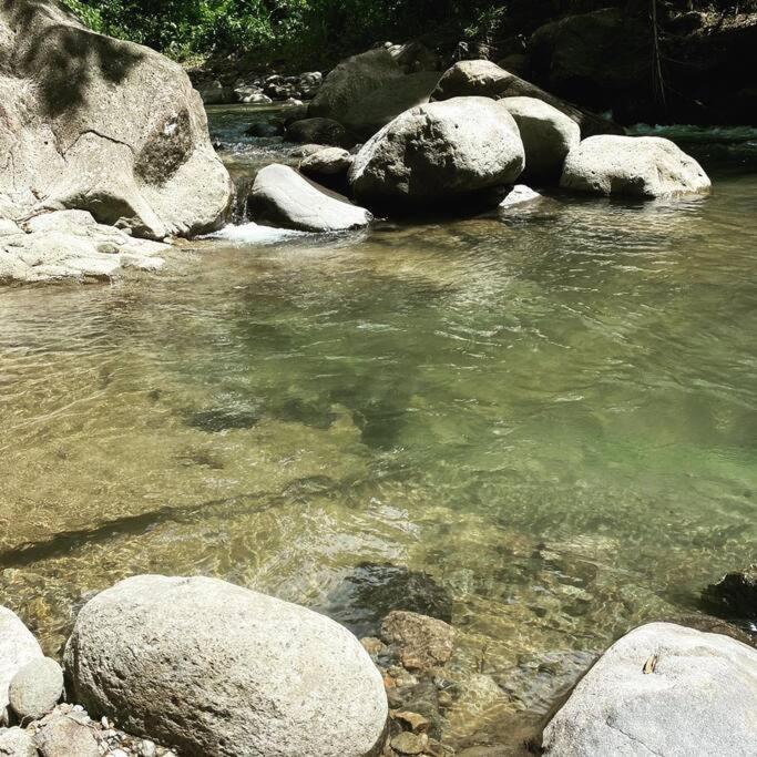Spacieux Appartement A La Villa Montagne Le Carbet Bagian luar foto