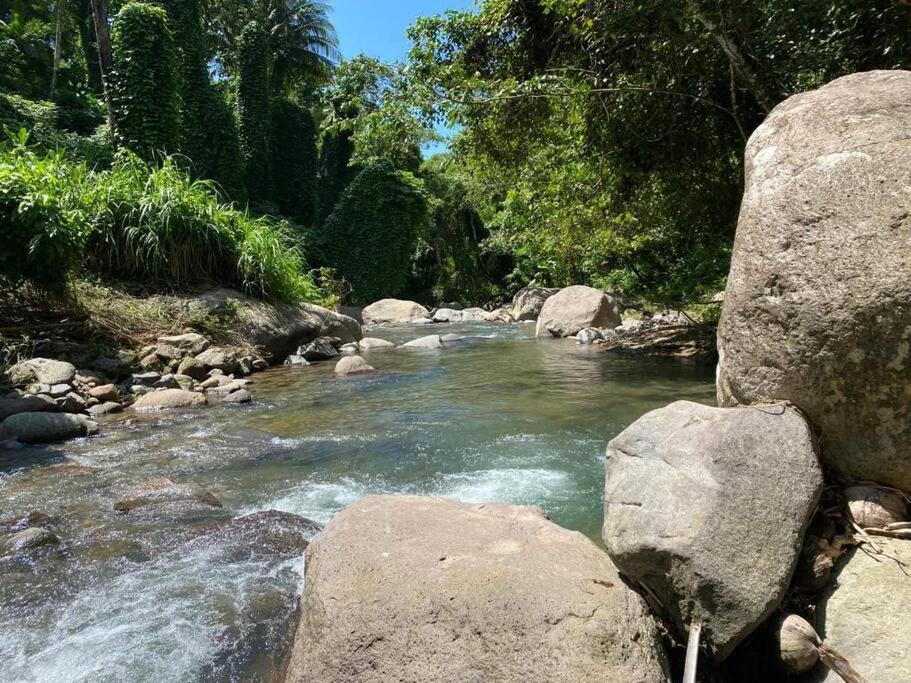 Spacieux Appartement A La Villa Montagne Le Carbet Bagian luar foto