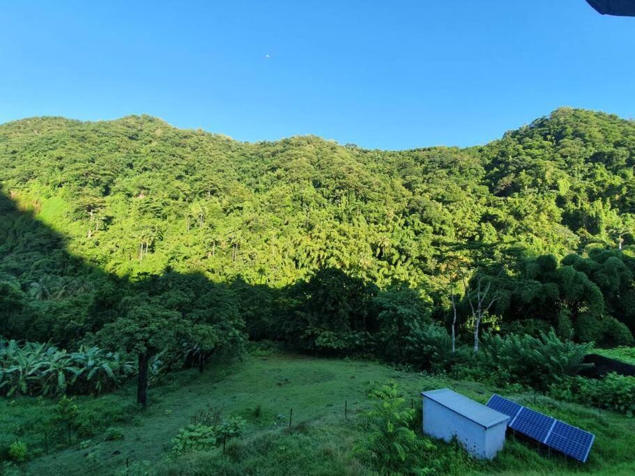 Spacieux Appartement A La Villa Montagne Le Carbet Bagian luar foto